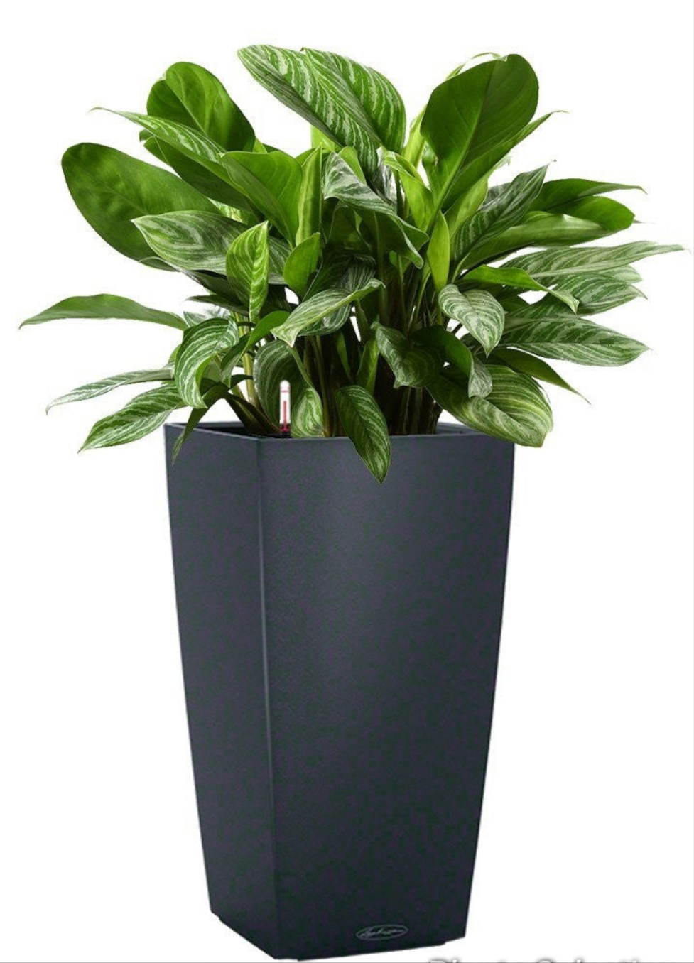 CUBICO Color 40 slate