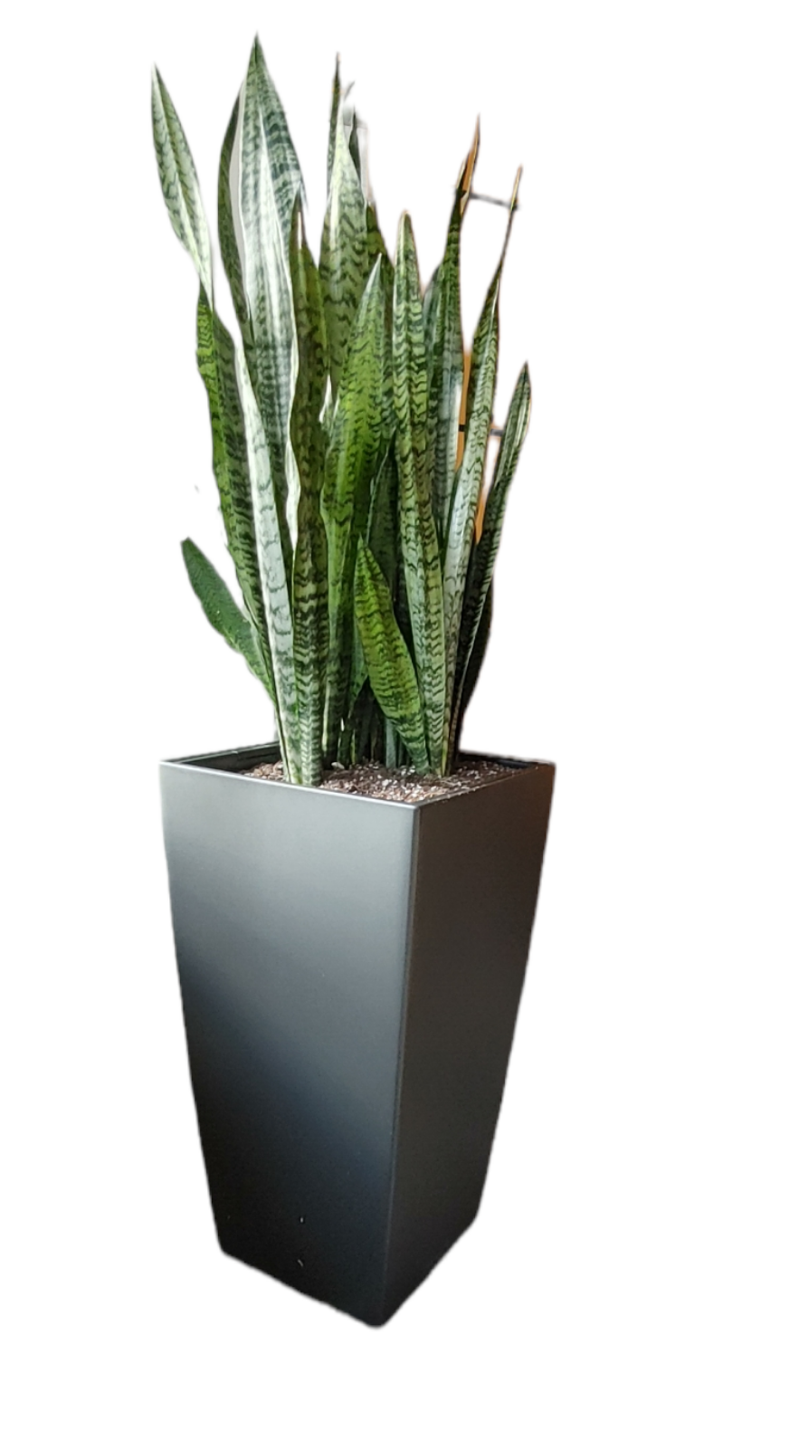 CUBICO Color 40 slate